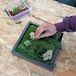 Atelier tableau vegetalisation personnalisation détente créatif dijon