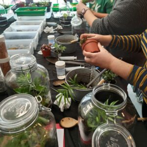 Atelier de création de terrarium végétal animé par NAVI à Dijon