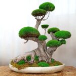 Bonsai stabilisé deco zen mousse plante biophilique sans entretien 1