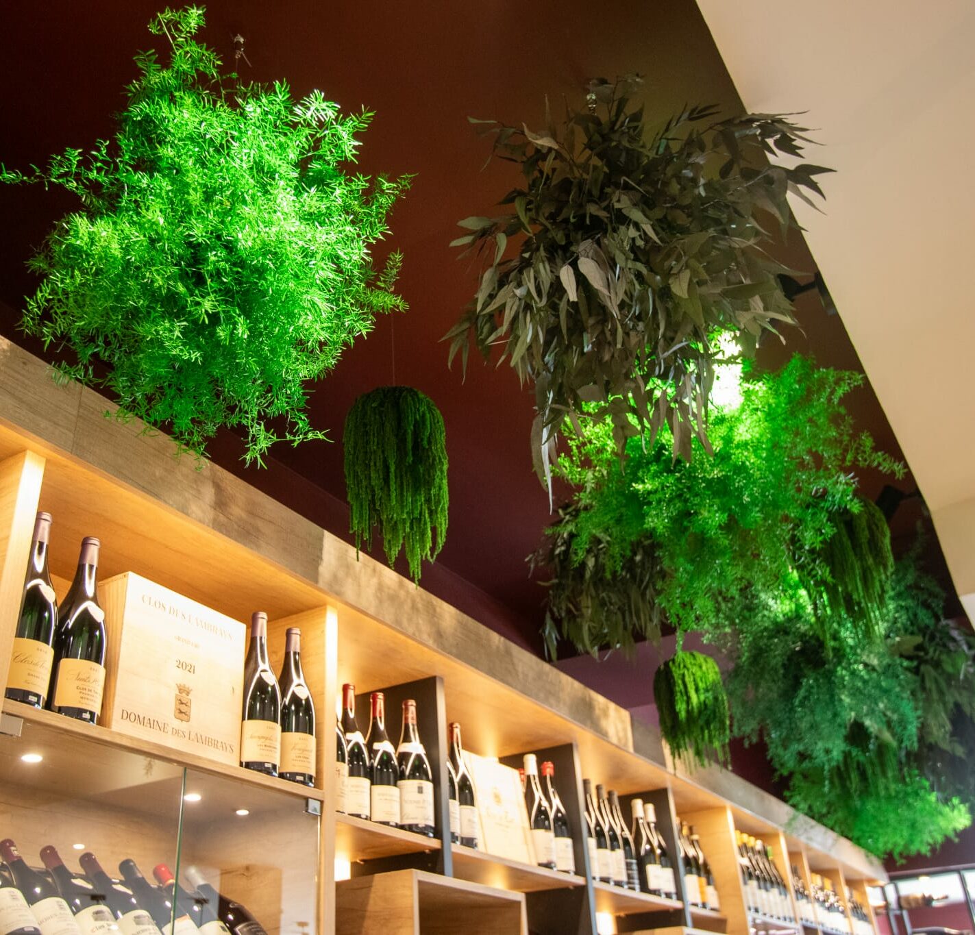 Mur végétal stabilisé réalisé pour Le Goût du Vin à Dijon
