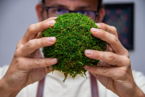 Création d’un kokedama éternel en végétaux stabilisés lors d’un atelier NAVI