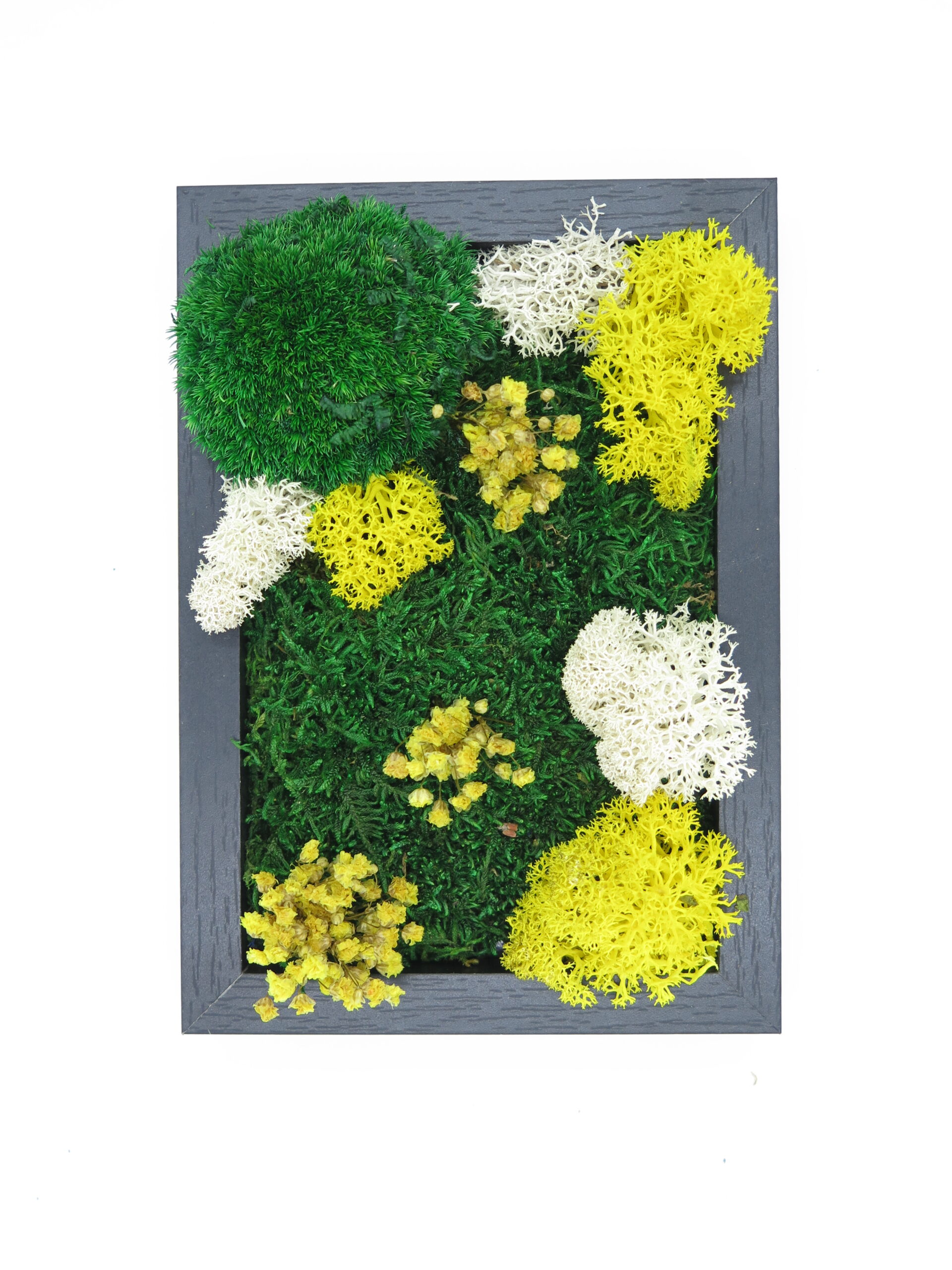 Kit DIY Tableau éternel – 12 × 17 cm – Image 5