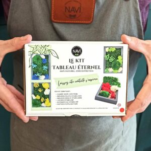 Kit DIY Tableau éternel NAVI avec végétaux stabilisés