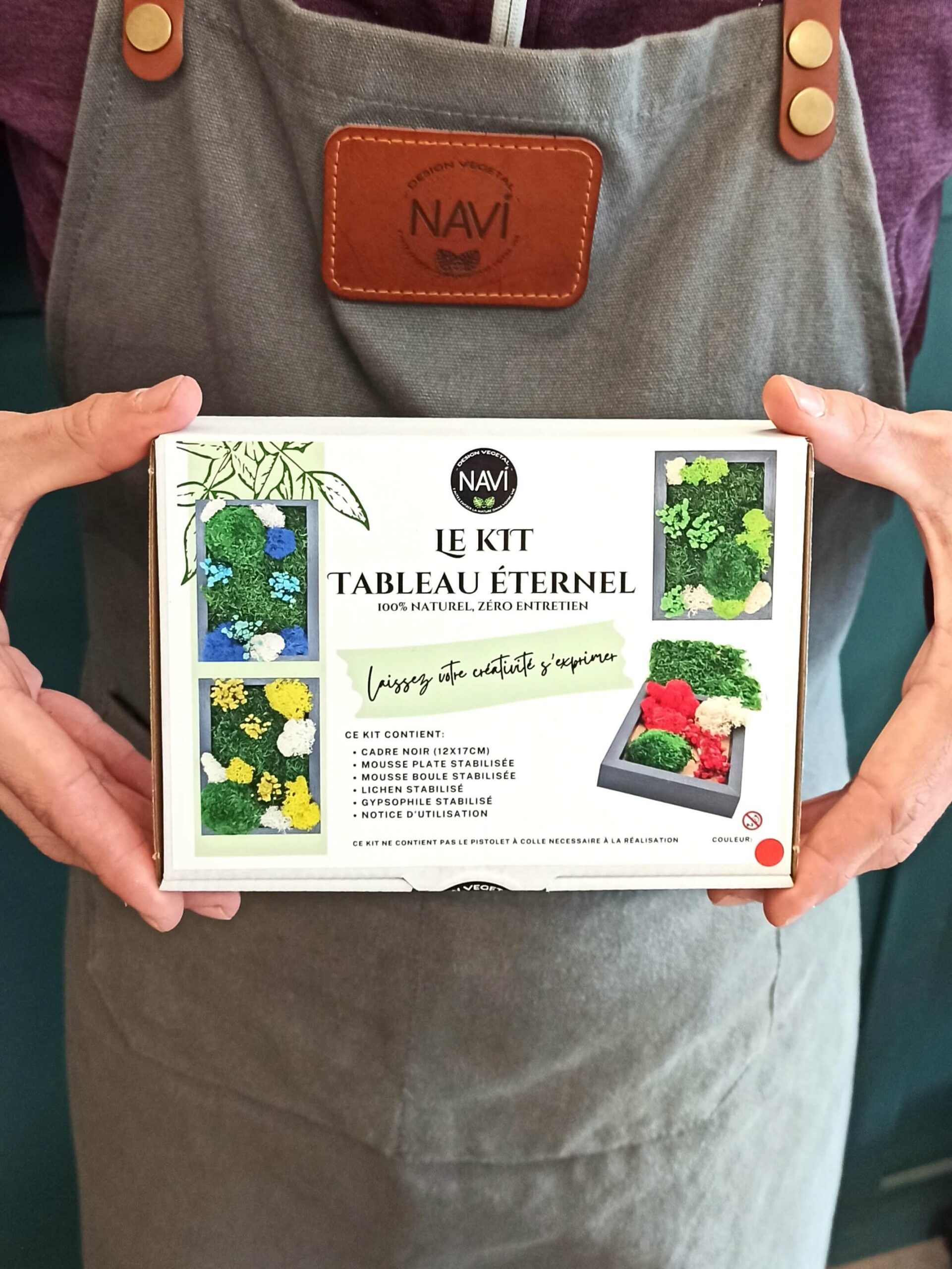 Kit DIY Tableau éternel NAVI avec végétaux stabilisés